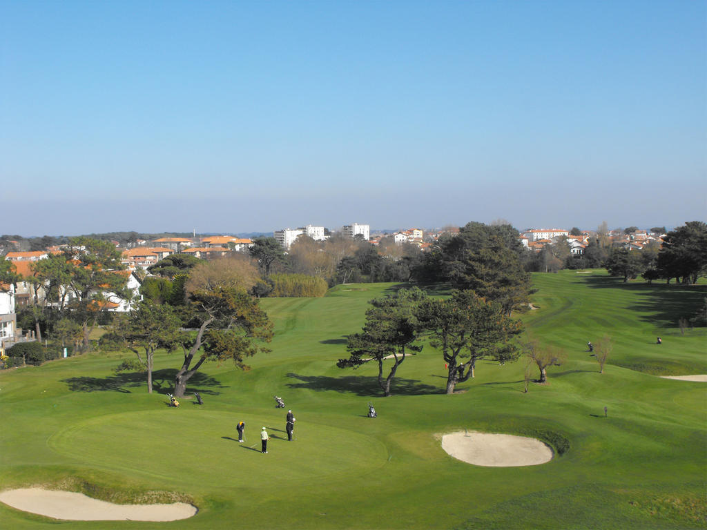 One-Bedroom Apartment with Golf View (4 Adults + 2 Children),709510243:JPEG