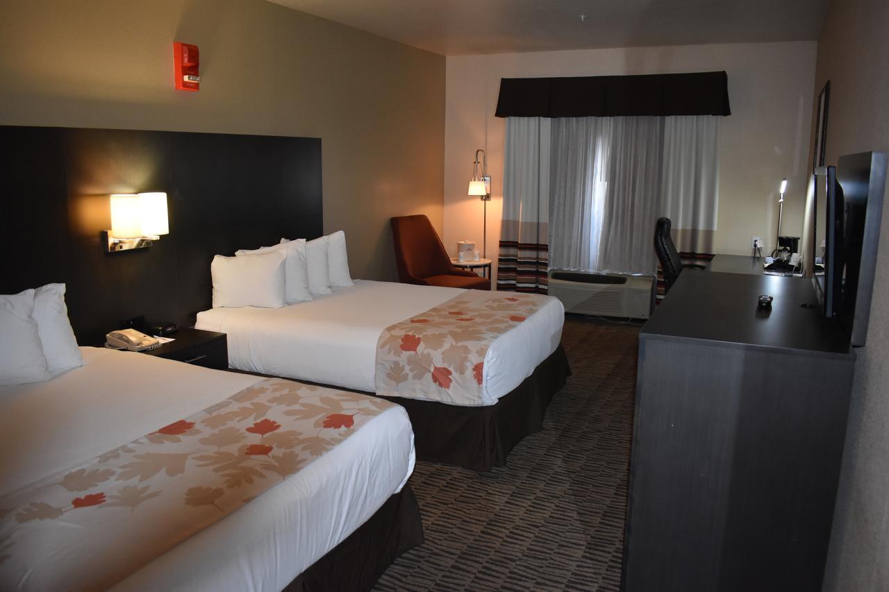 King Room w or Sofa Bed Disability Access Non Smoking,507105951:JPEG