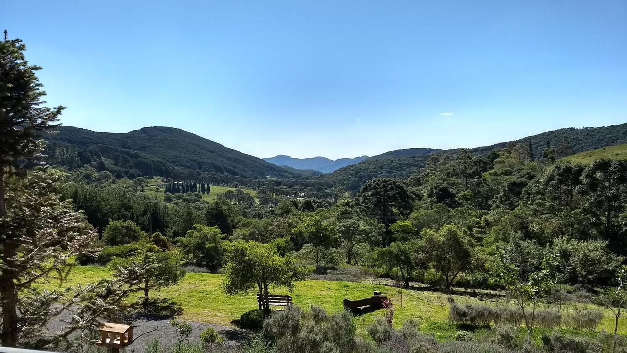 Suite Mountain View