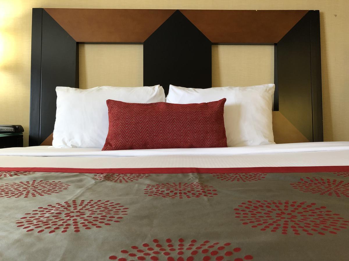 King Room Mobility or Hearing Impaired Access Non-Smoking