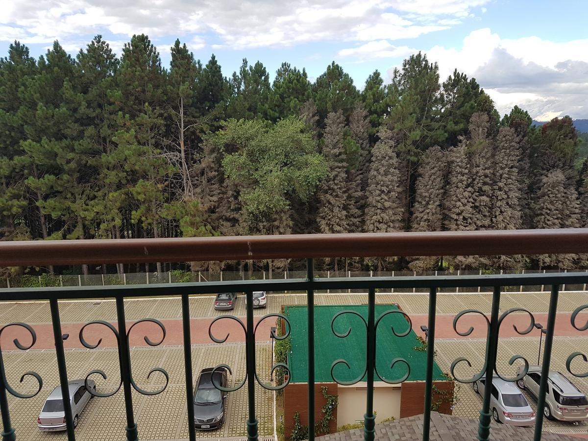 Apartment Garden View