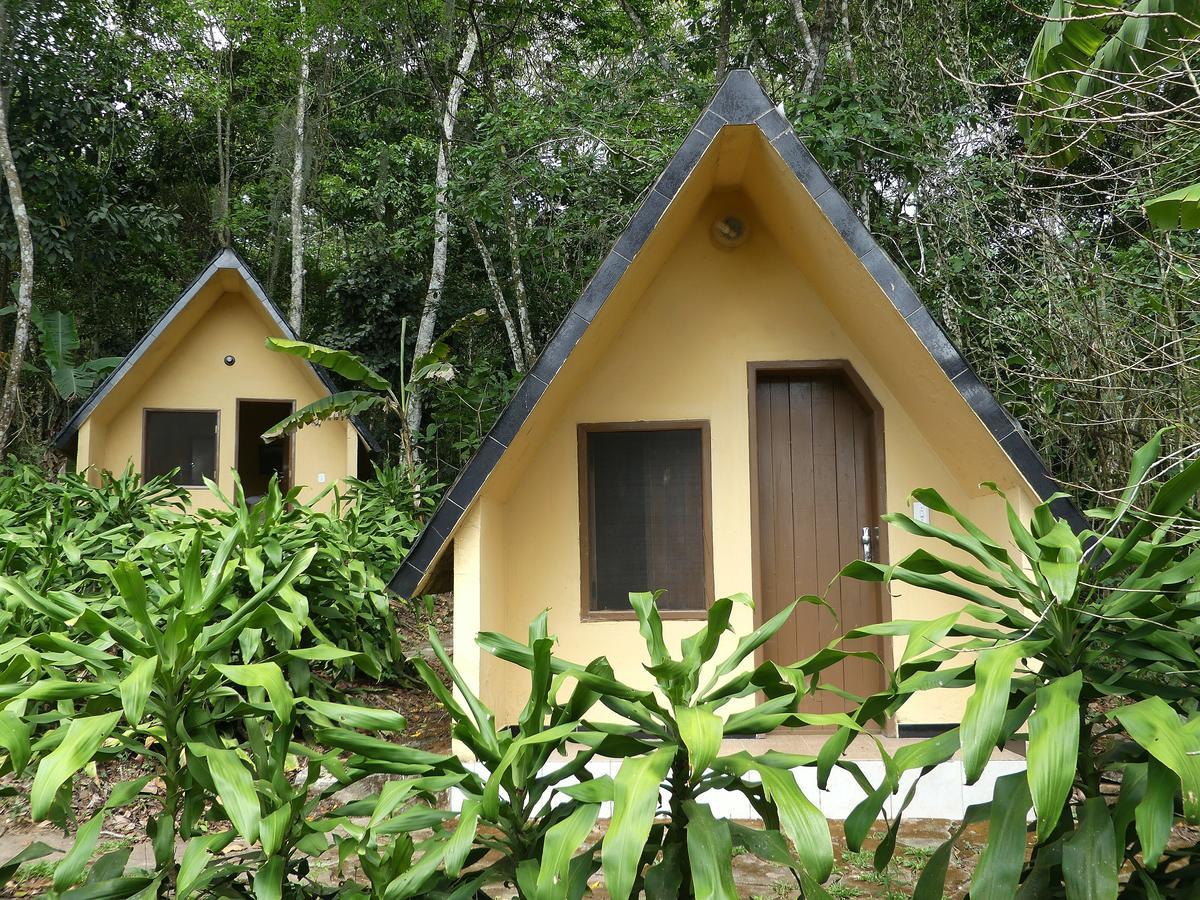 Standard Twin Room Shared External Bathroom