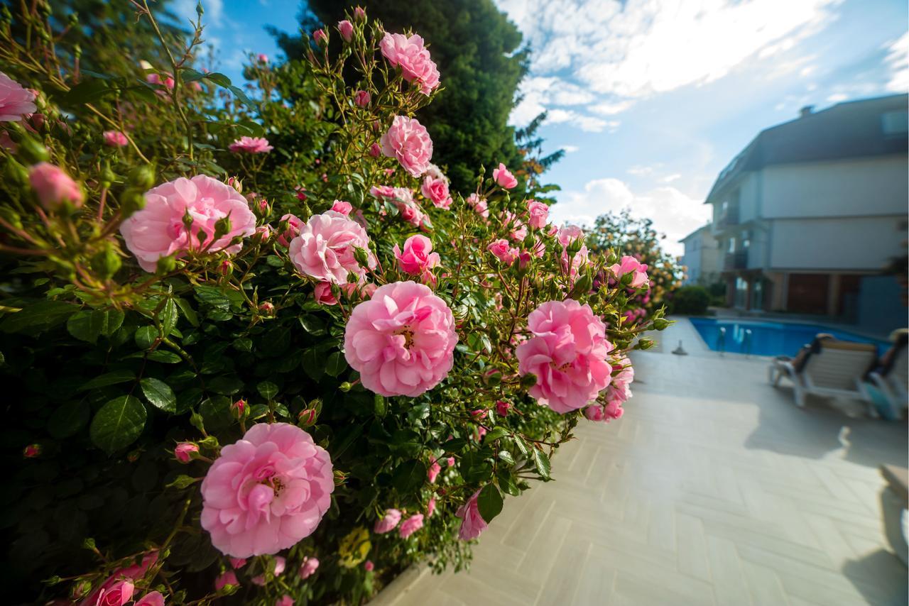 Quadruple Room Garden View