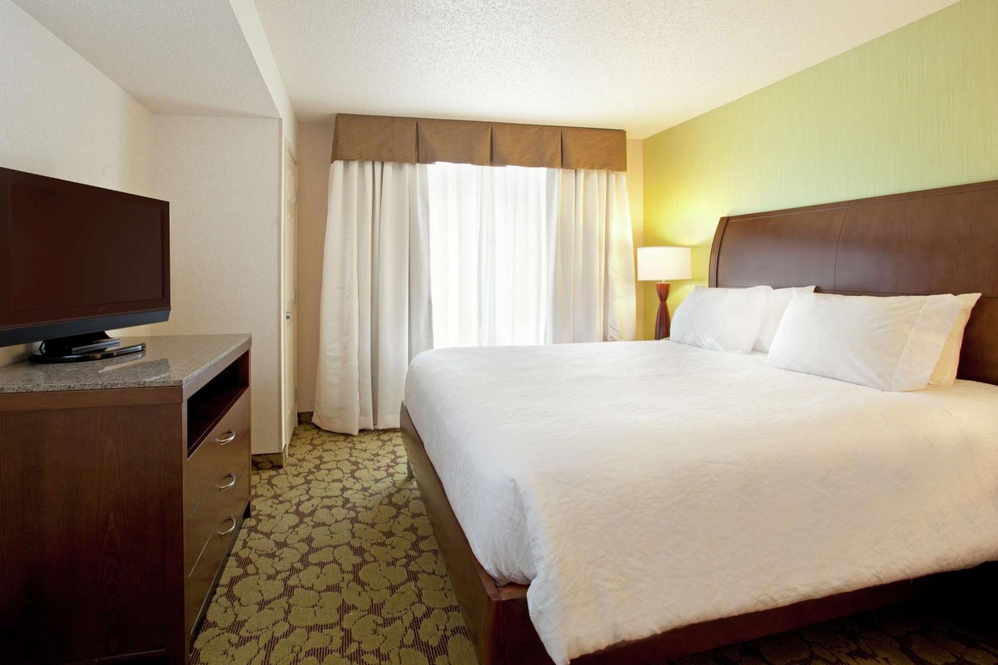 Junior King Suite with Sofa Bed