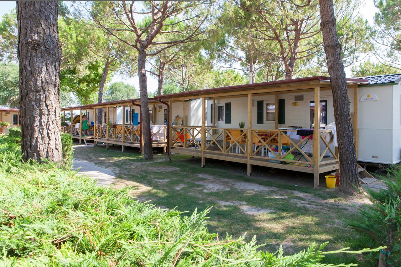 Mobile Home Deluxe