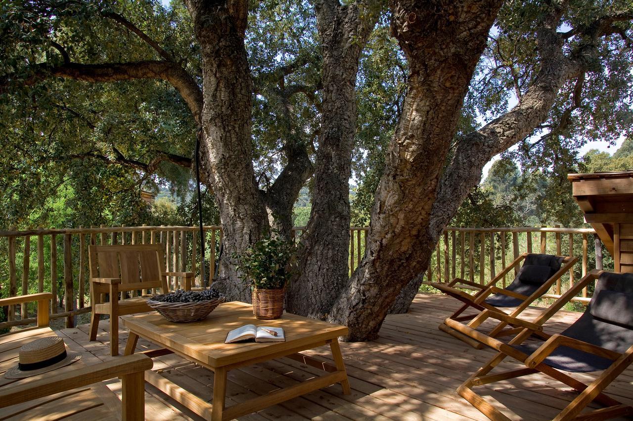 Family Tree House Access to Spa Private Beach,643460628:JPEG