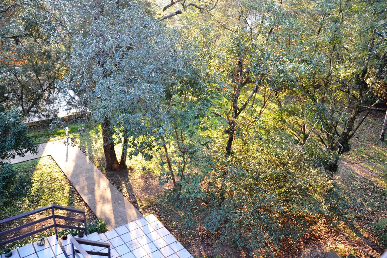 Apartment Balcony