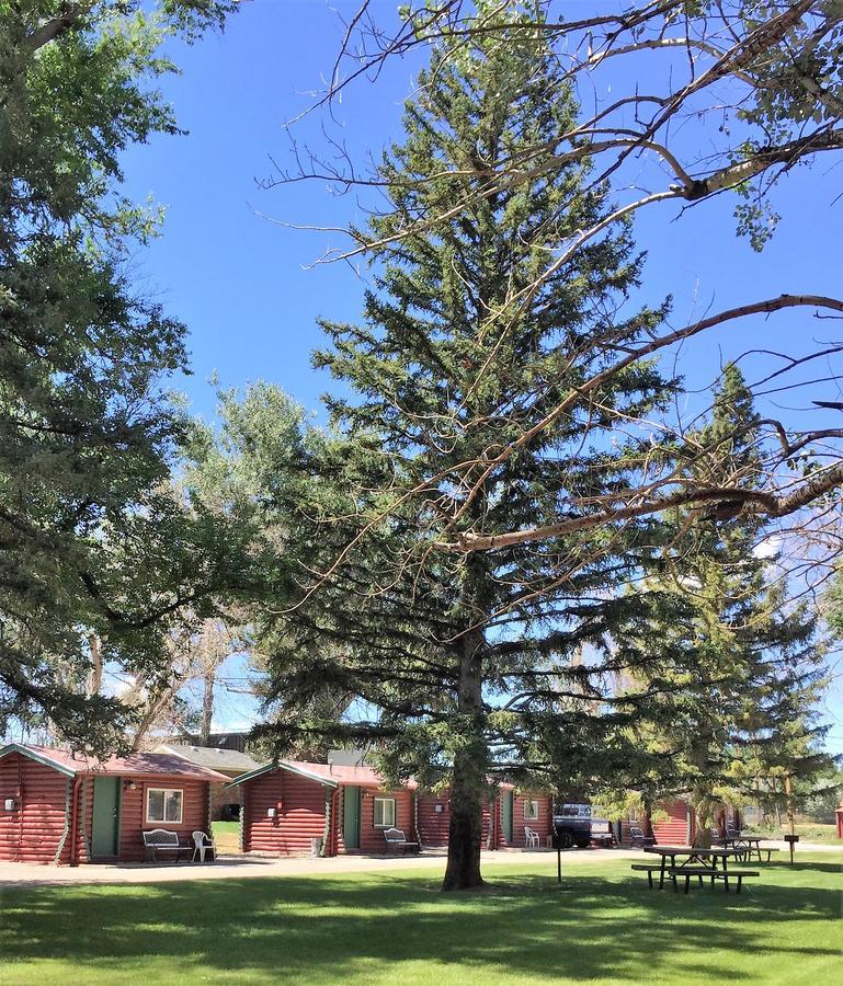 Queen Cabin Pet Friendly