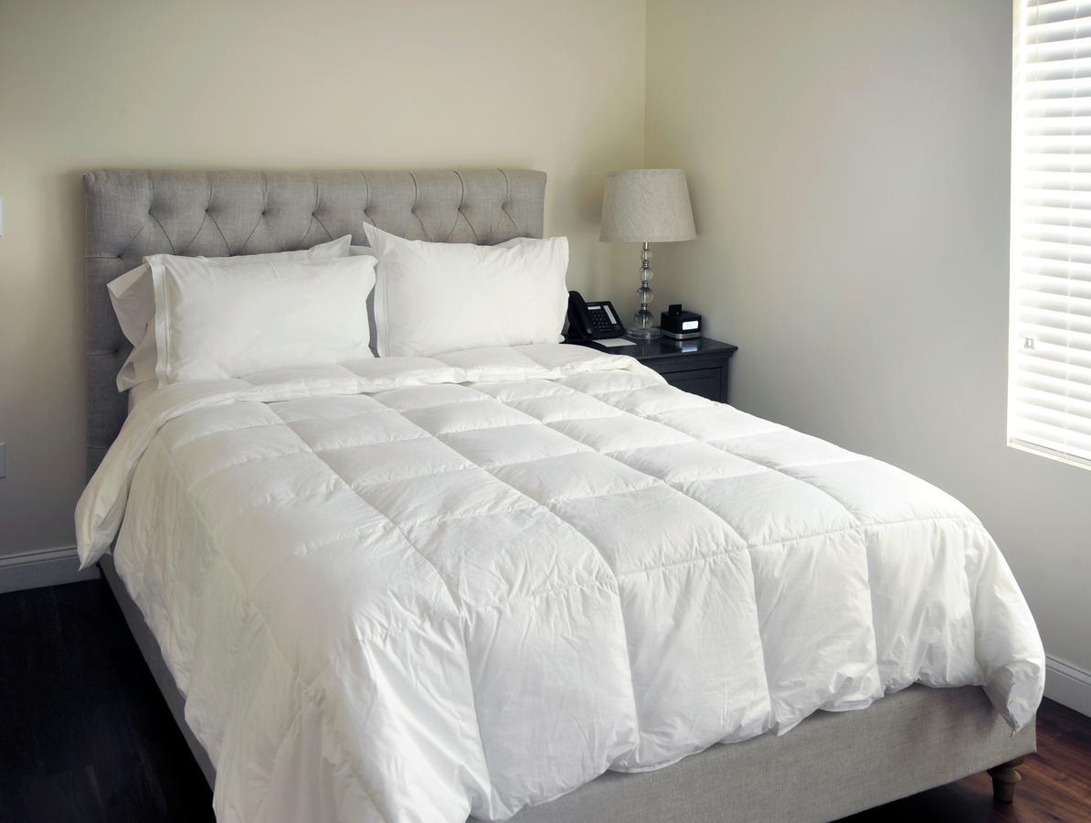 Studio Suite