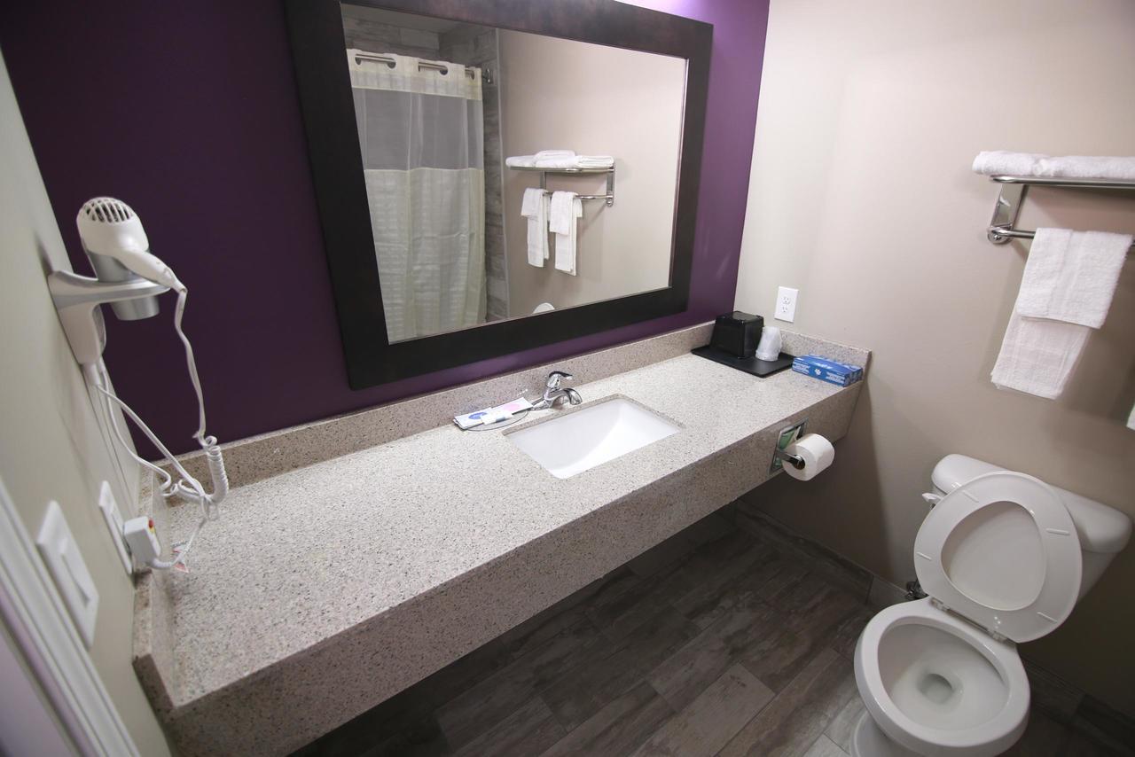 Standard Suite