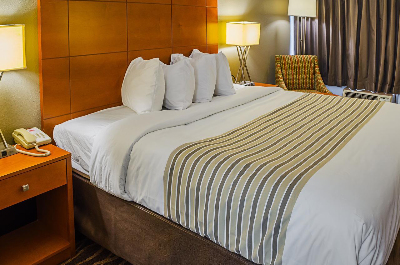 Superior King Room - Non-Smoking