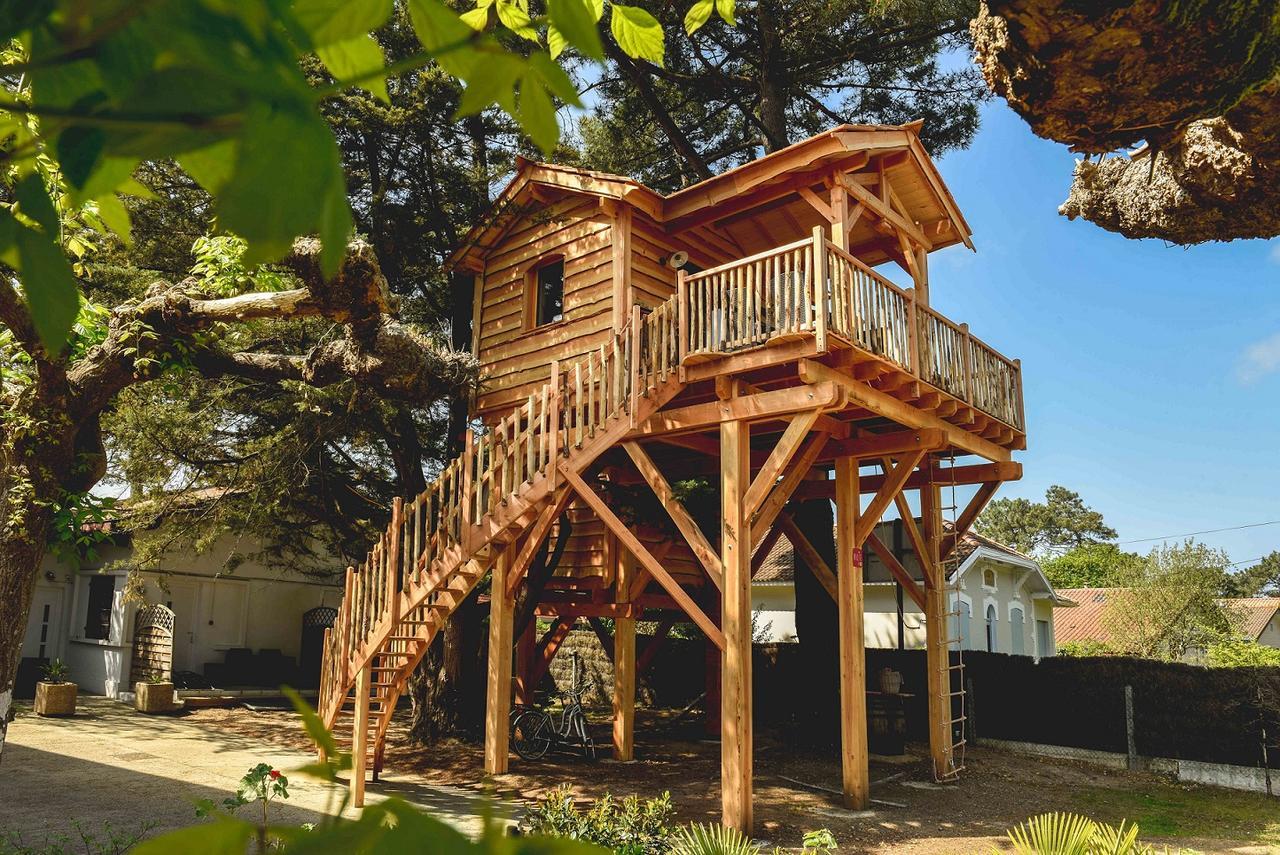 Cabane Perchée