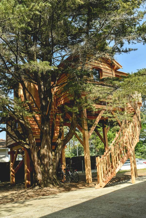 Cabane Perchée