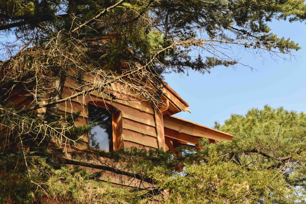 Cabane Perchée