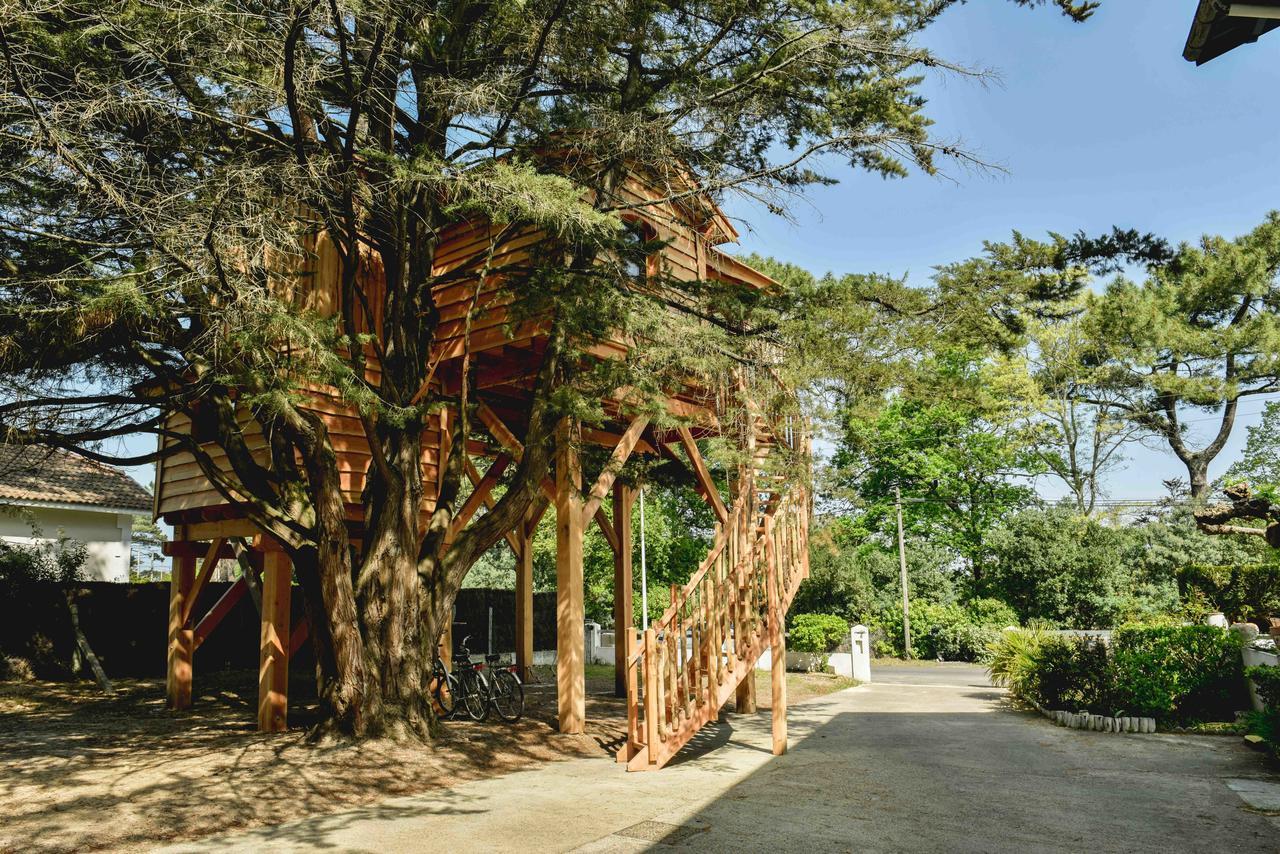 Cabane Perchée