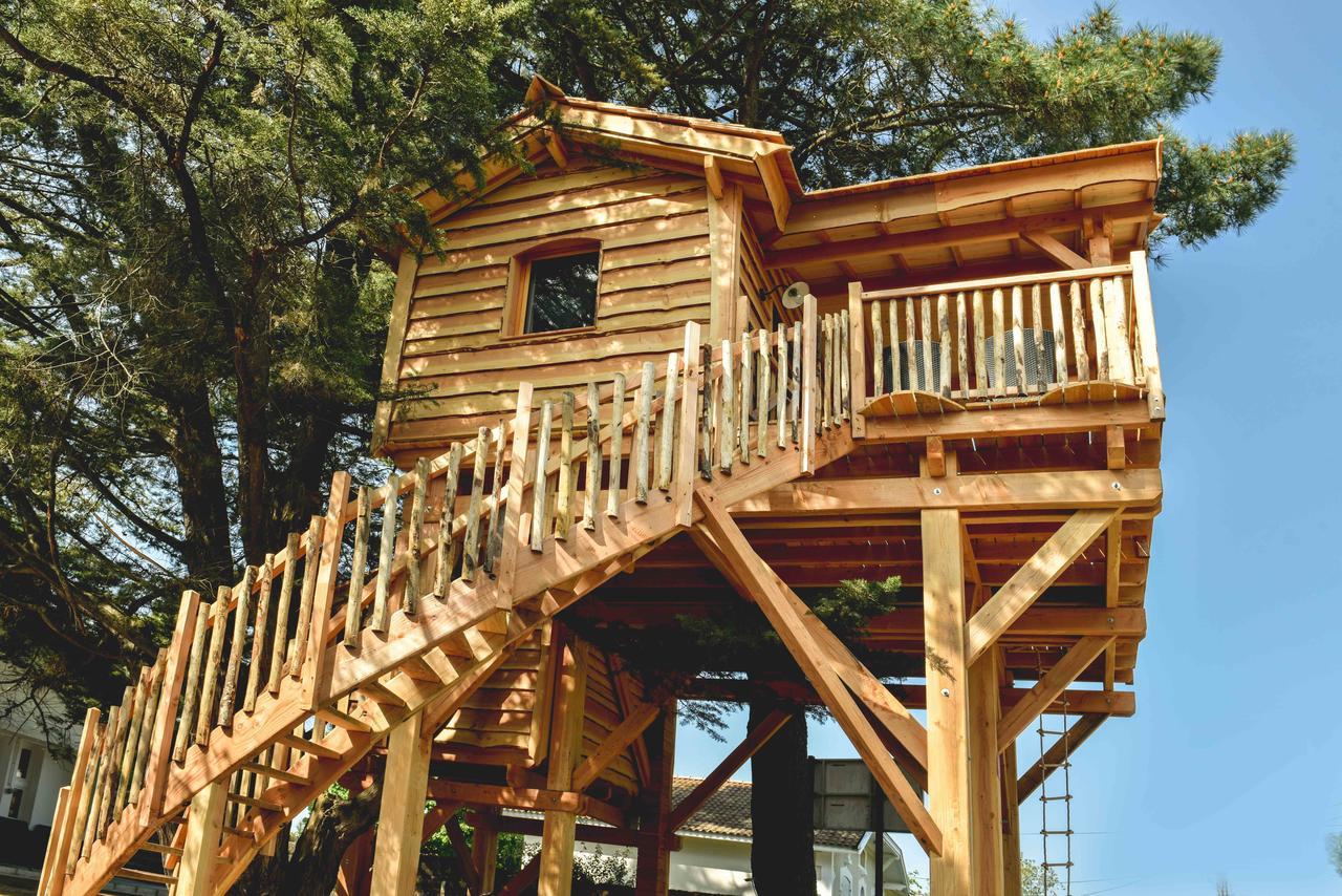Cabane Perchée
