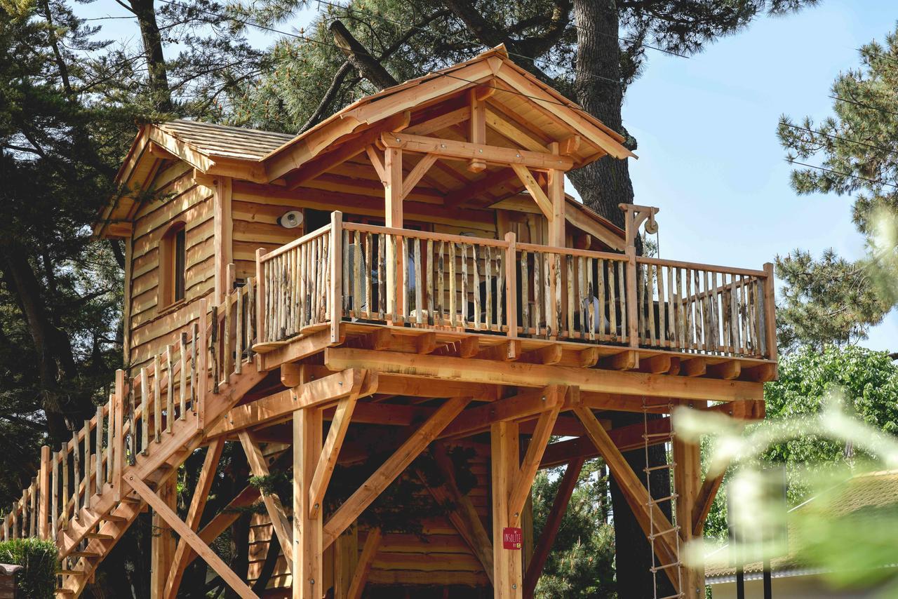 Cabane Perchée