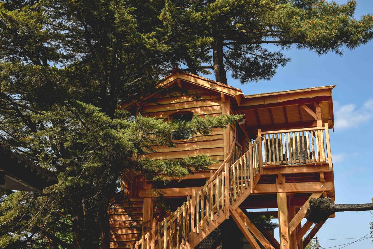 Cabane Perchée