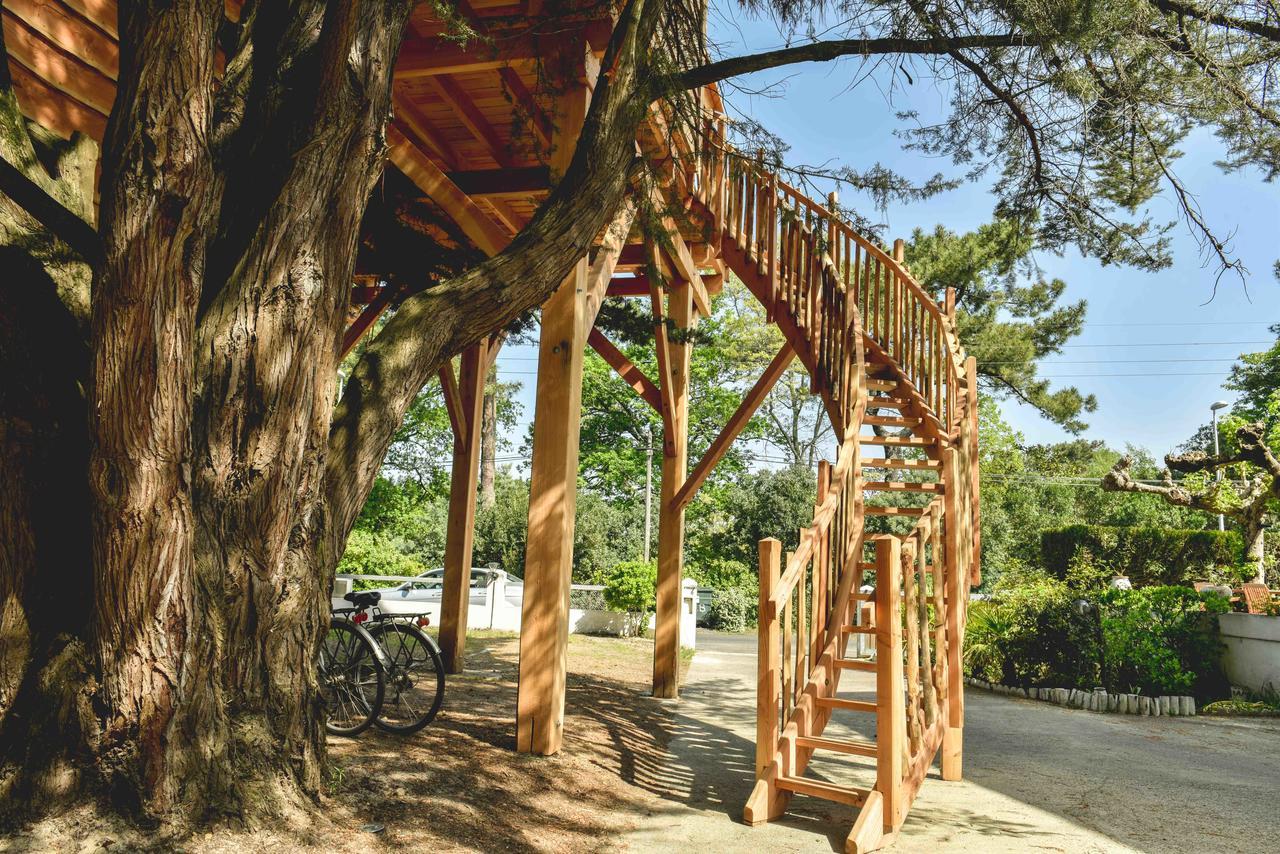 Cabane Perchée