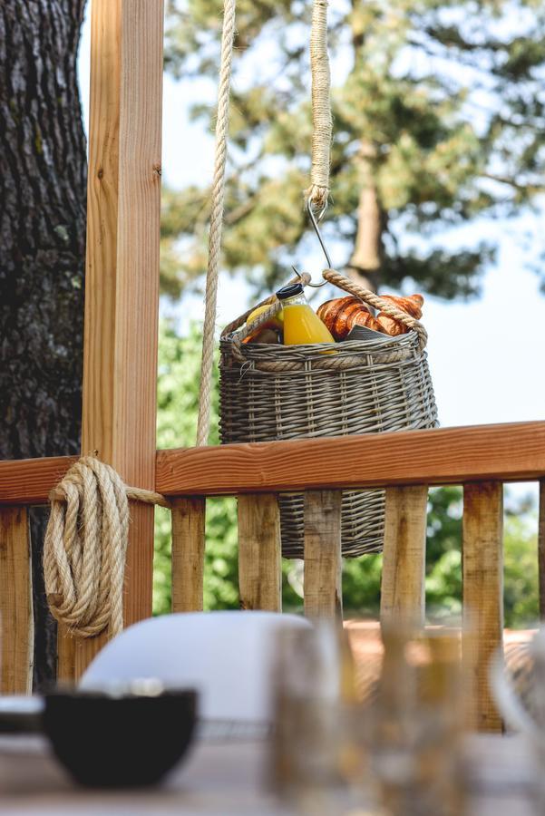 Cabane Perchée