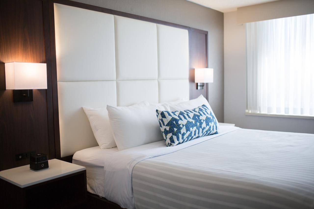 Lifestyle Suite with King Bed and Sofa Bed