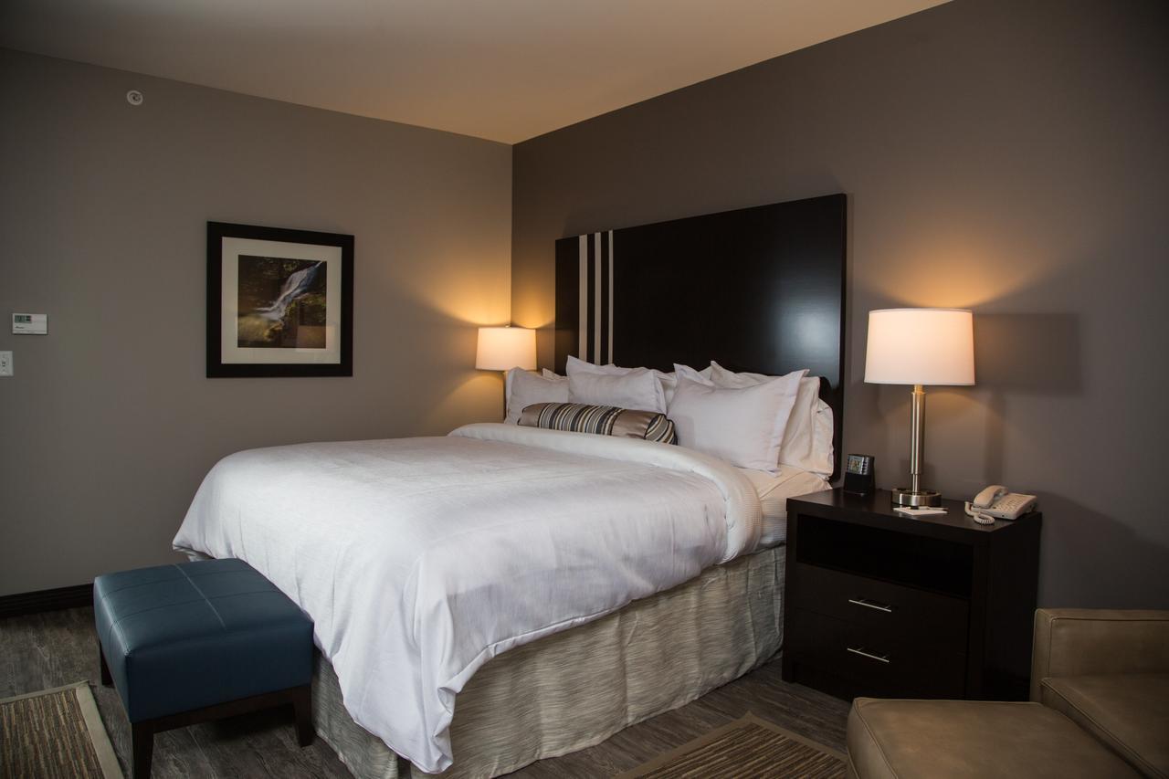 Queen Room Two Queen Beds Disability Access