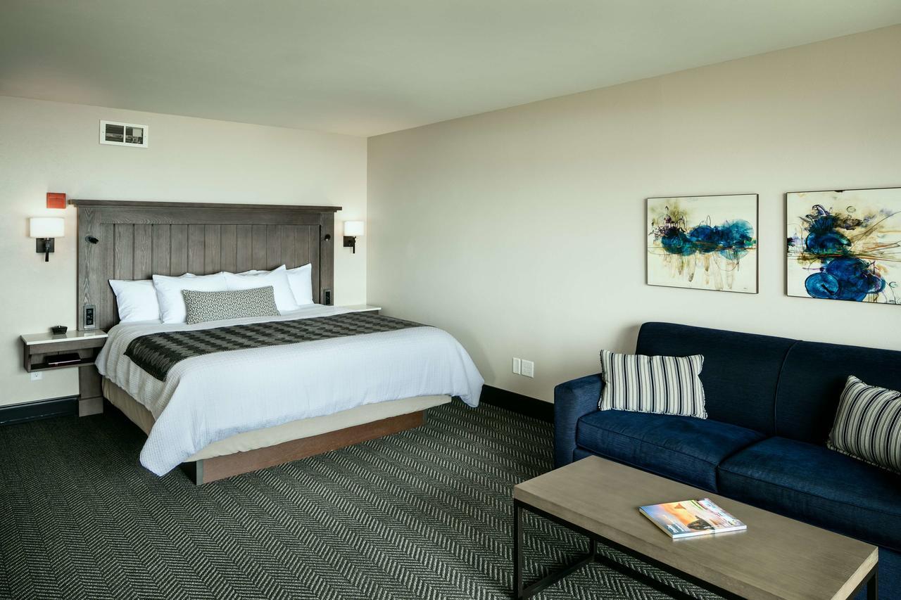 King Room - Disability Access,659003511:JPEG