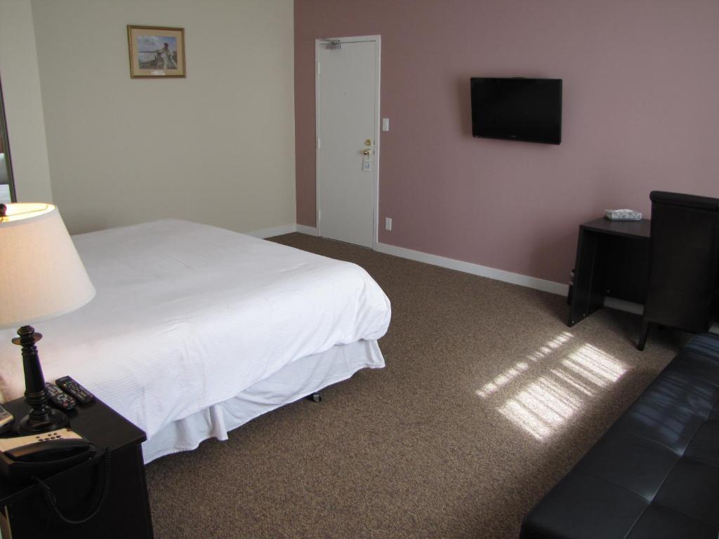 Suite met 1 Slaapkamer en een Slaapbank