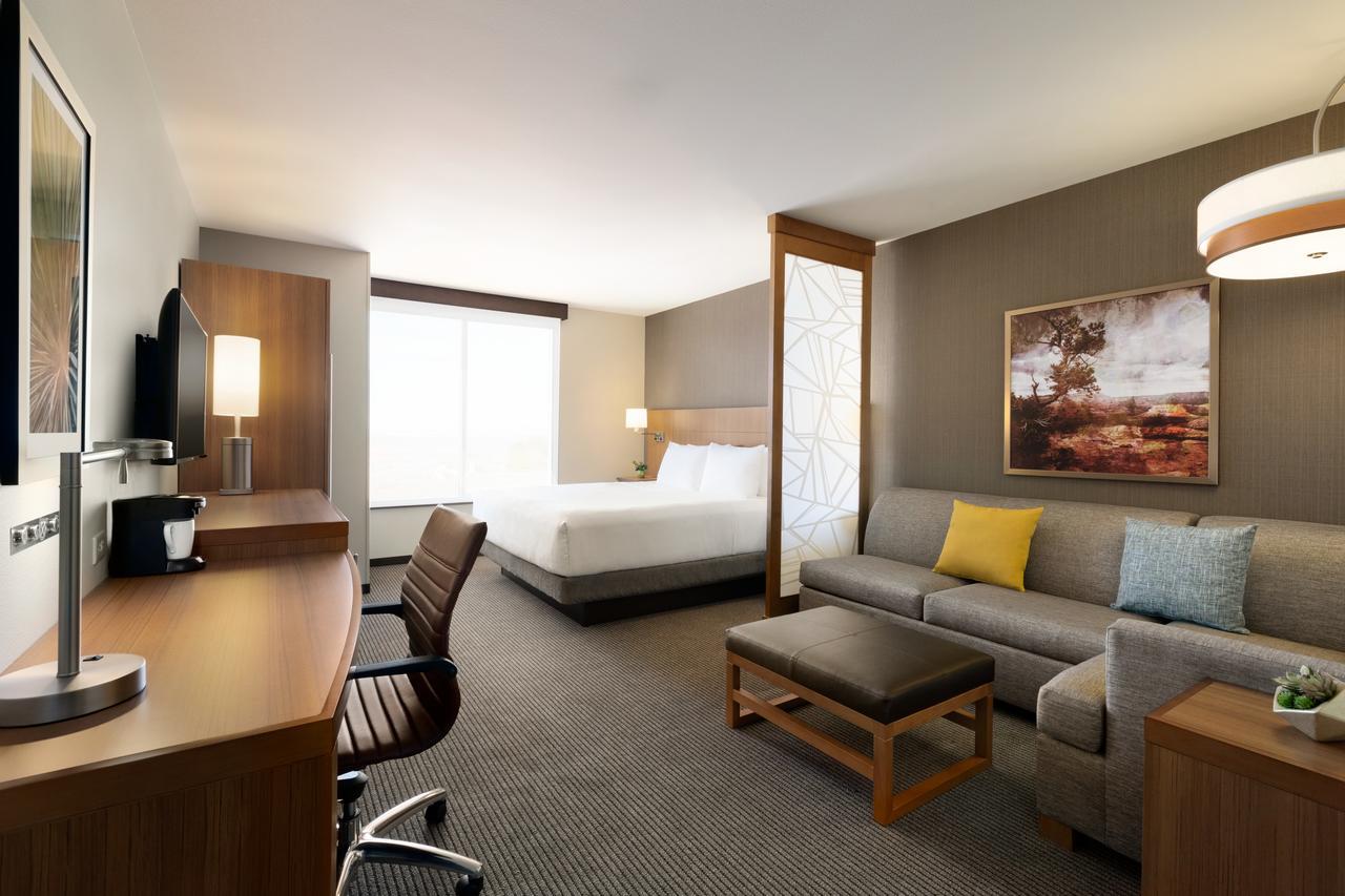 King Room Sofa Bed