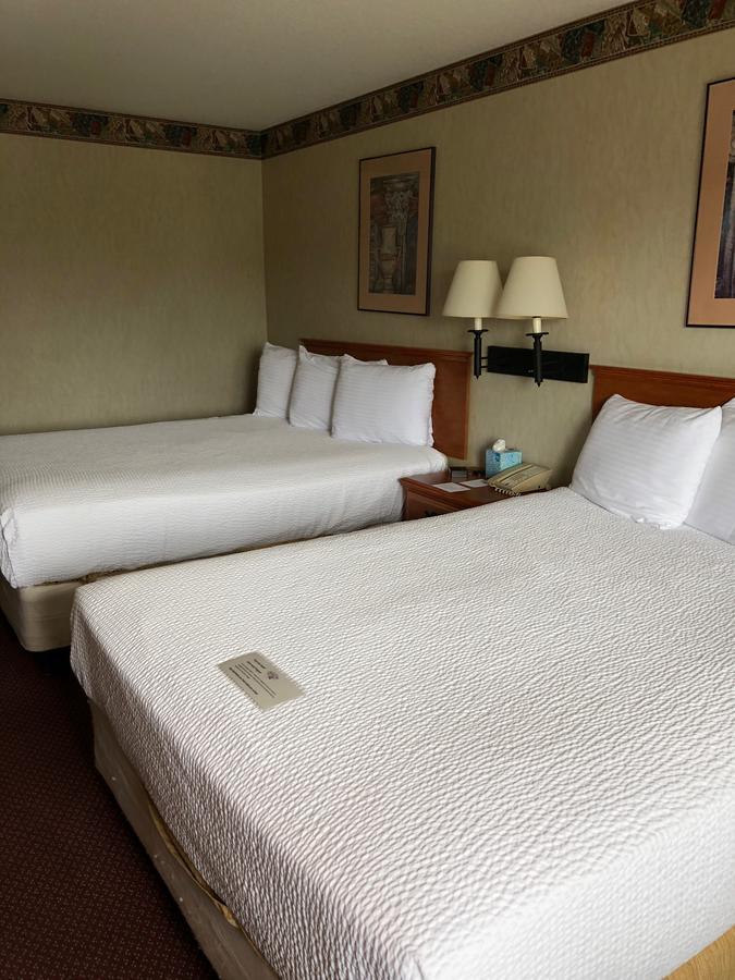 Standard Queen Room