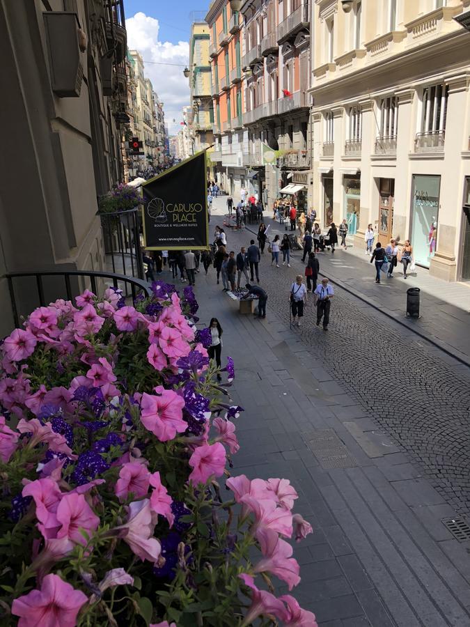 Suite Gallery Street view