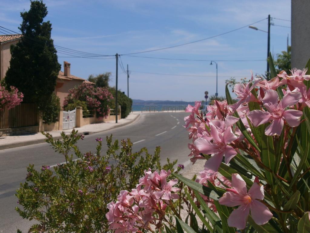 Double Room Terrace,395980863:JPEG