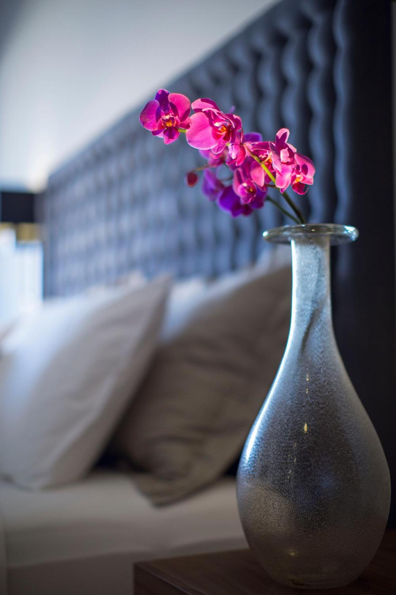 Room Urban View
