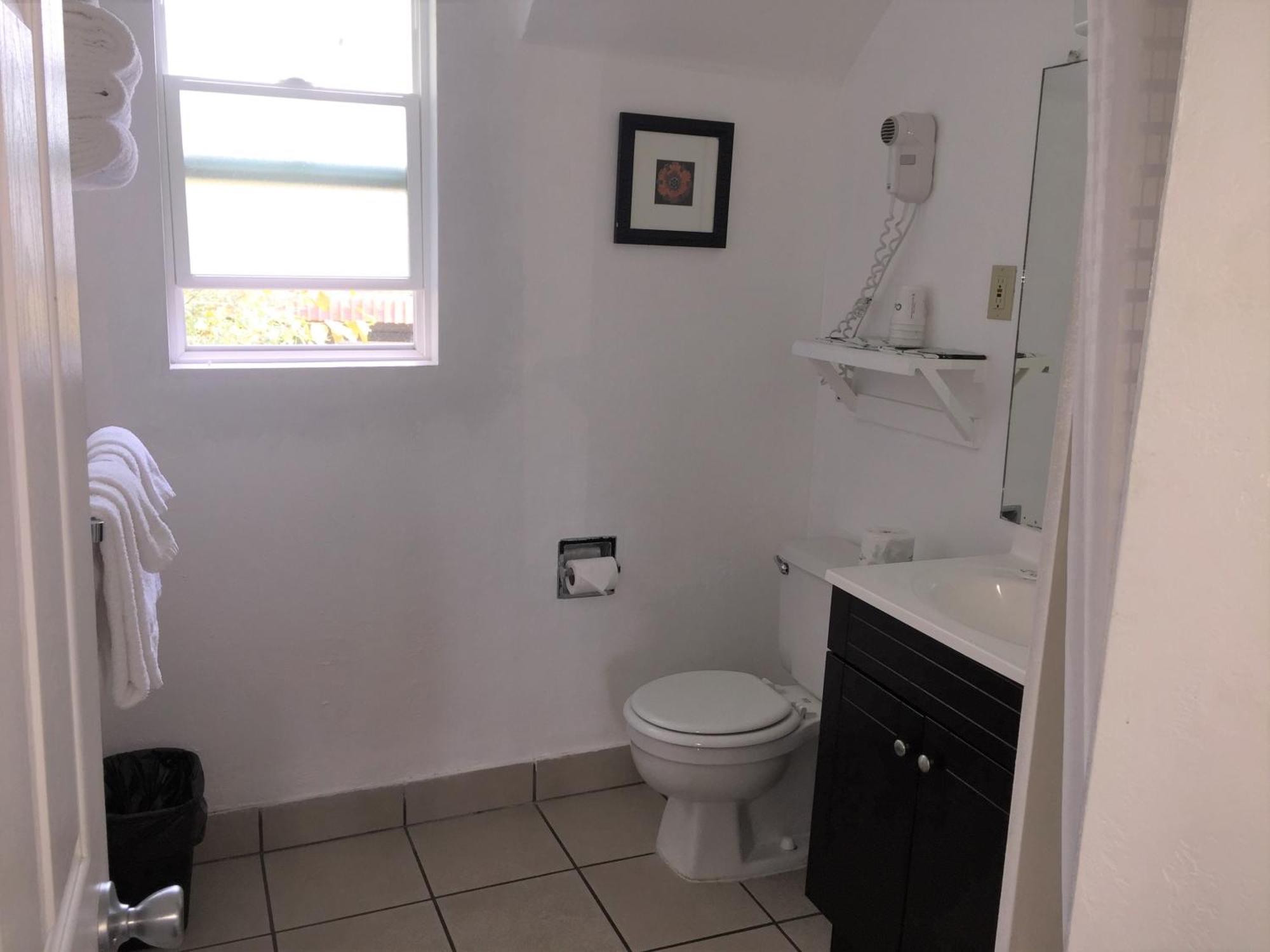 Family Room Shower No pets