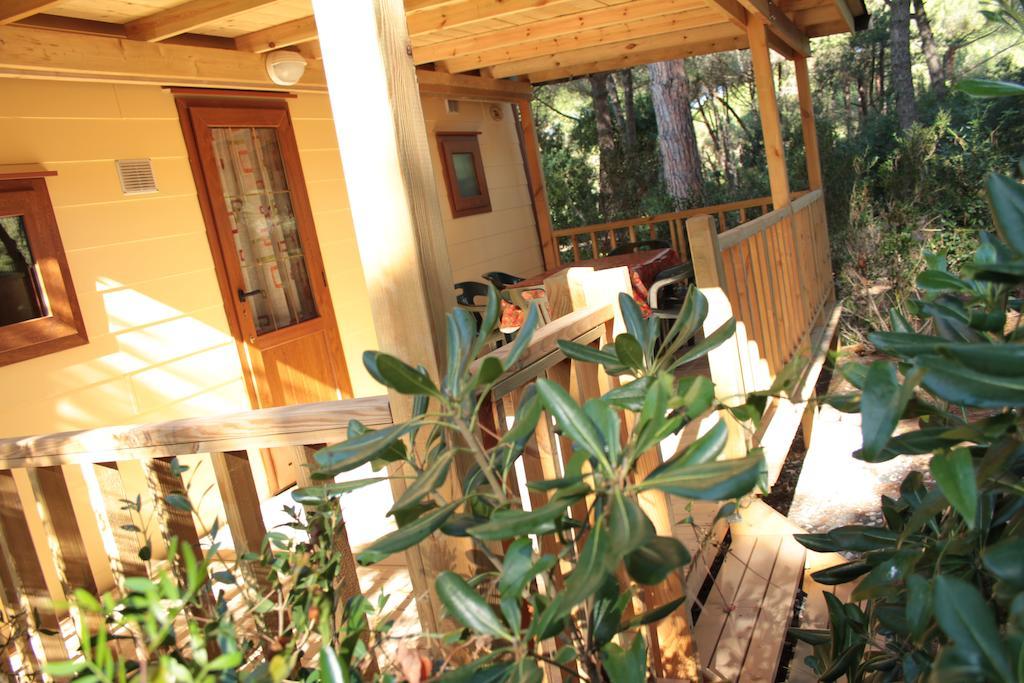 Casa Mobile (4 adulti) con Accesso alla Spiaggia