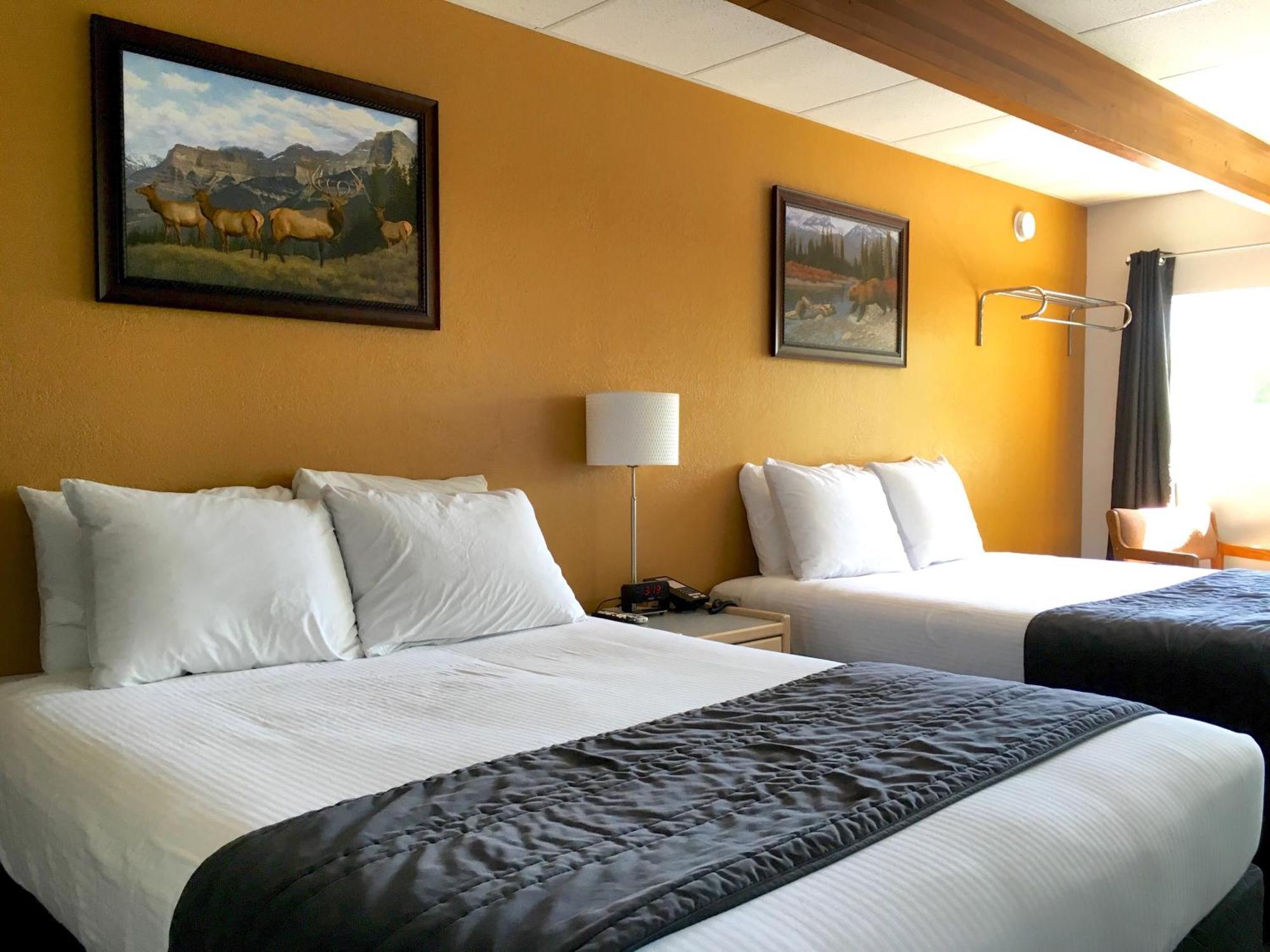 Modern Double Queen Room