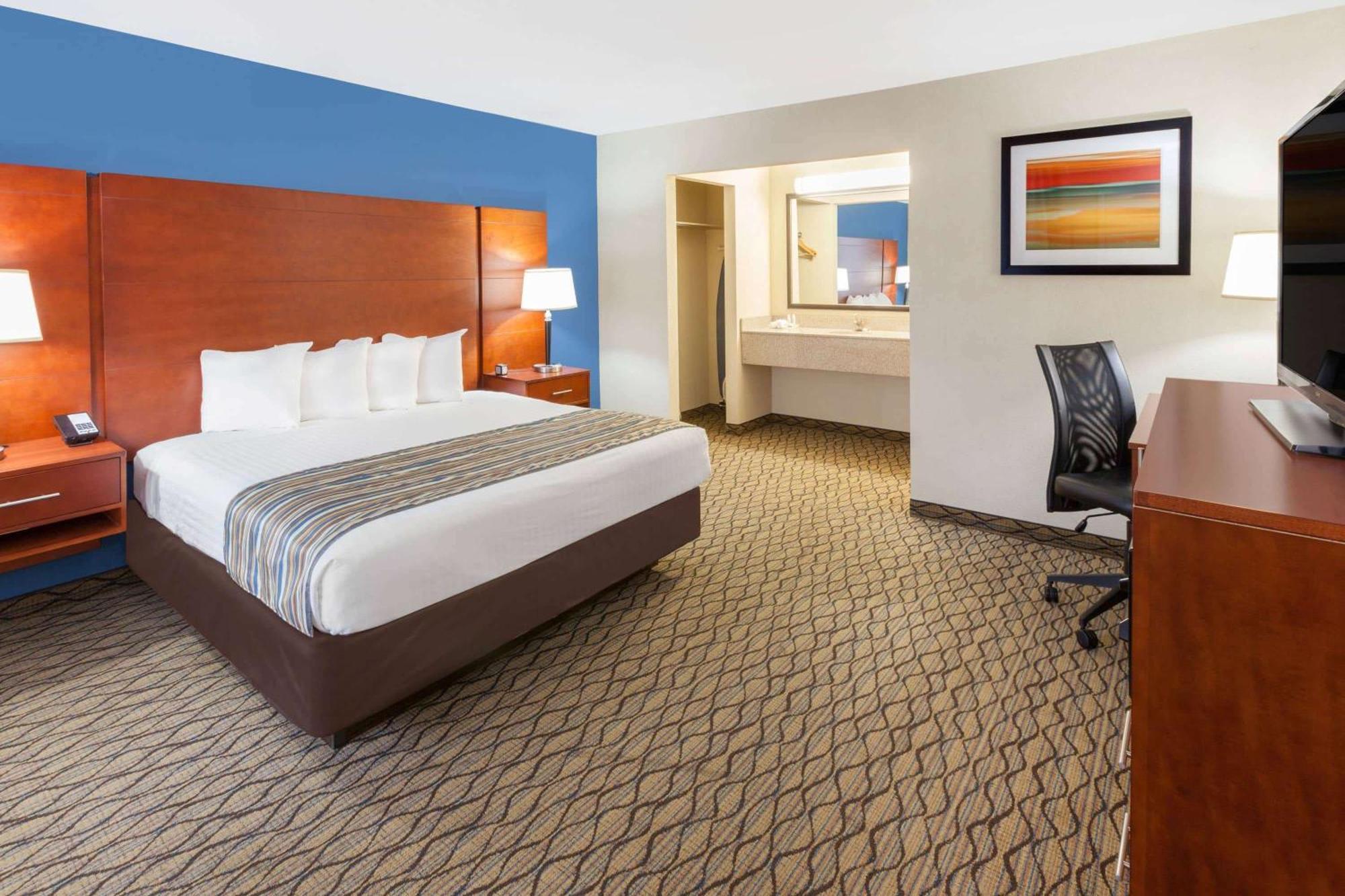 Courtside King Room Pet Friendly