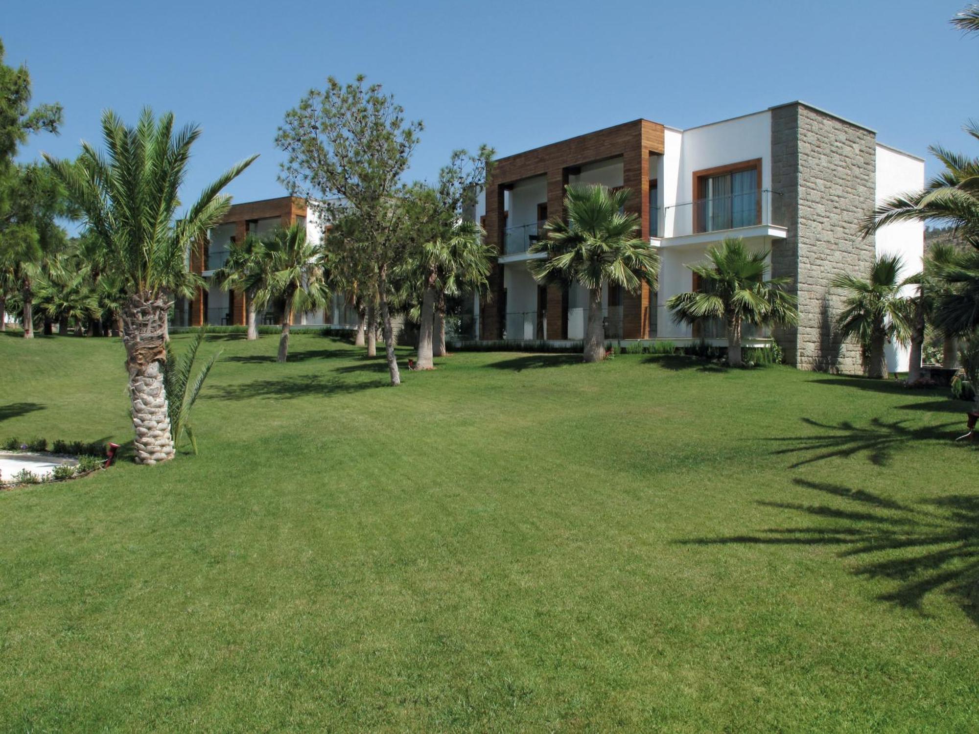 Palm Suite