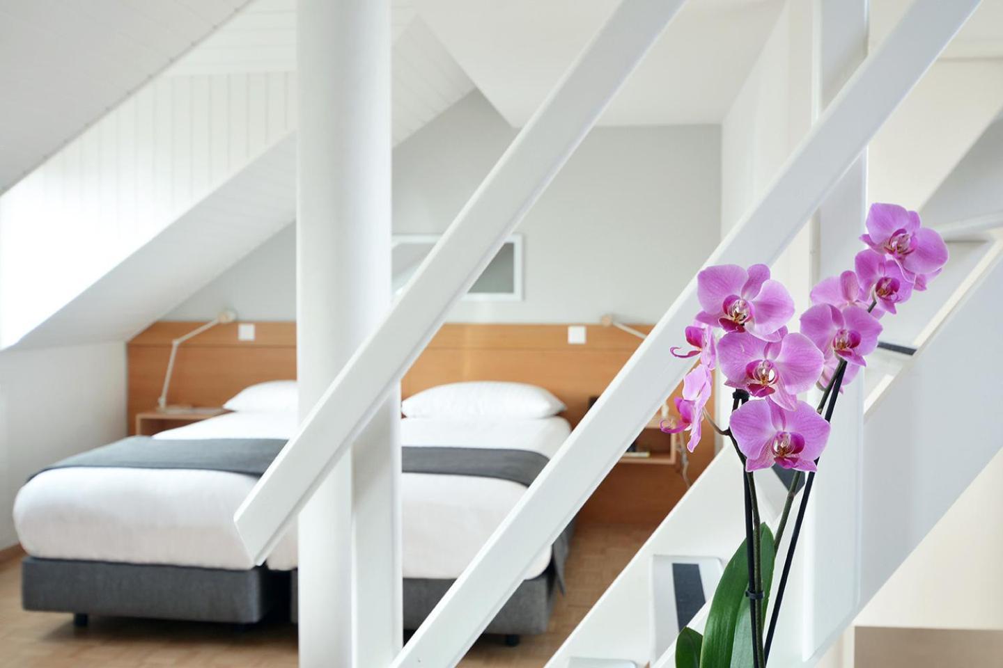 Duplex Studio Terrace