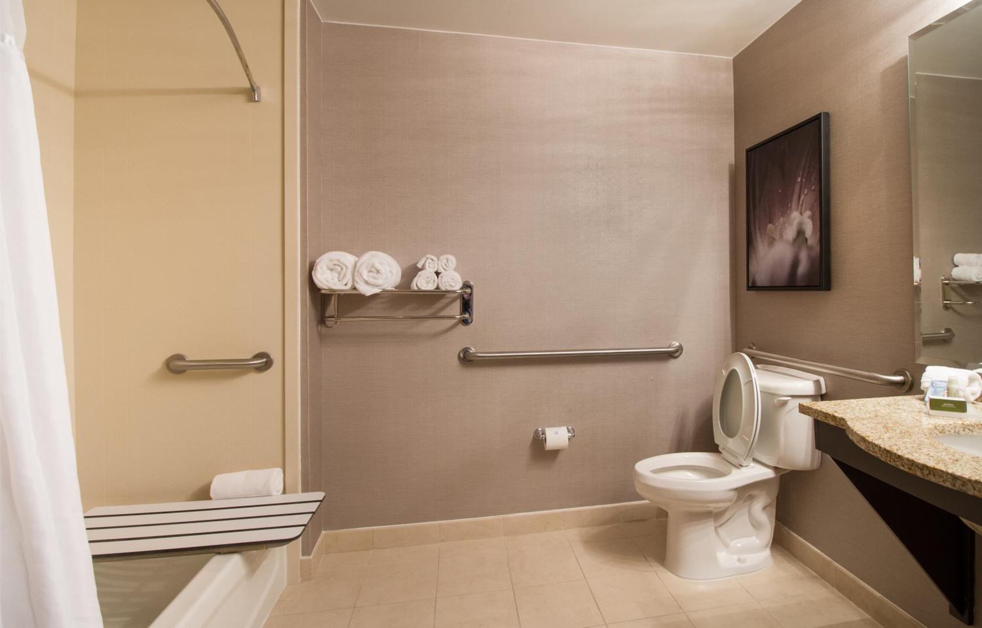 King Room Mobility Access or Non-Smoking