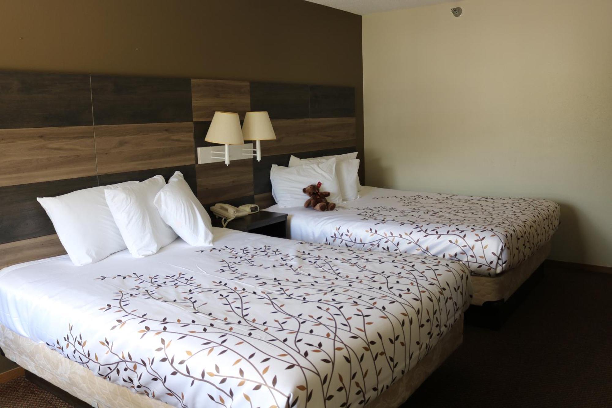 Superior Queen Room Two Queen Beds