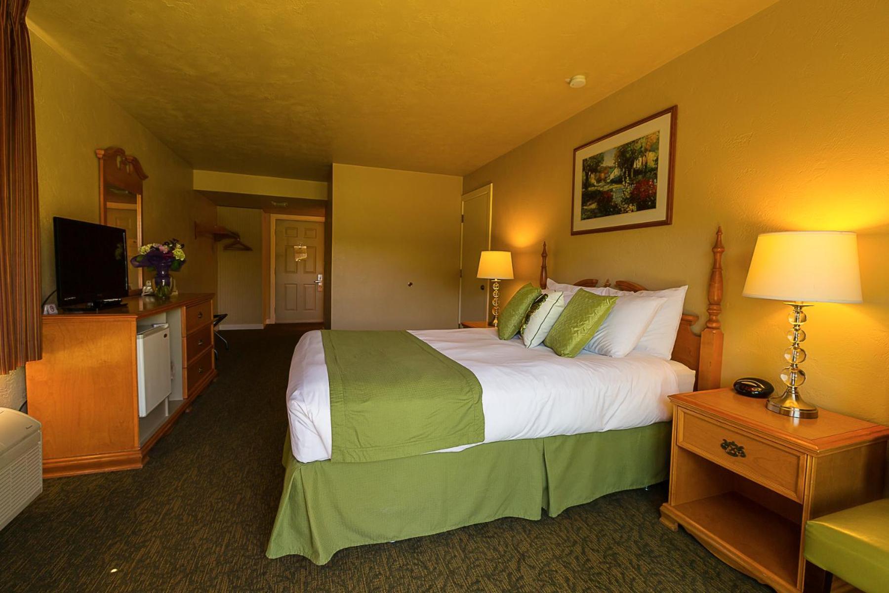 Queen Room Not Pet Friendly No Pets