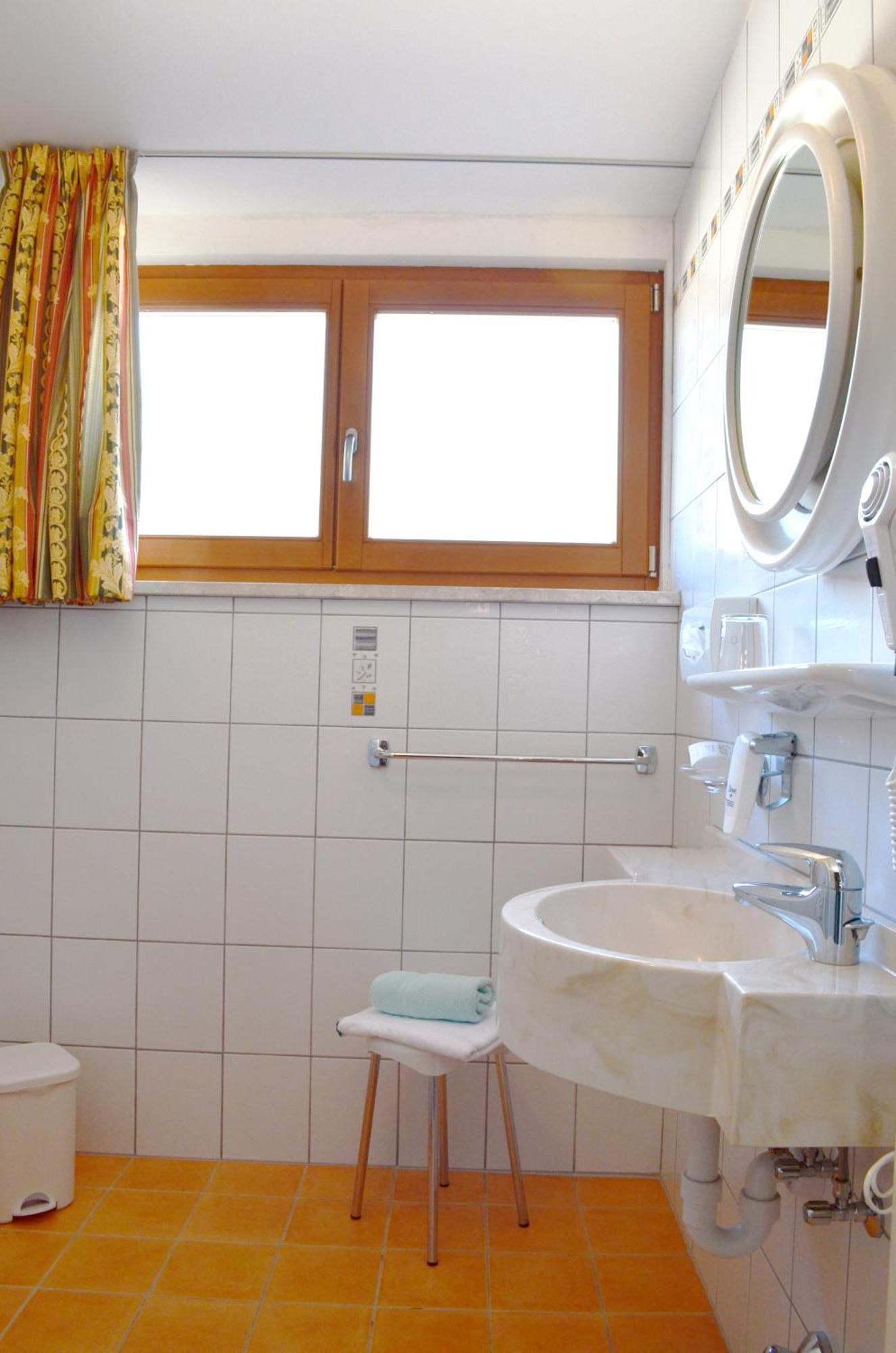 Standard Single Room Attic