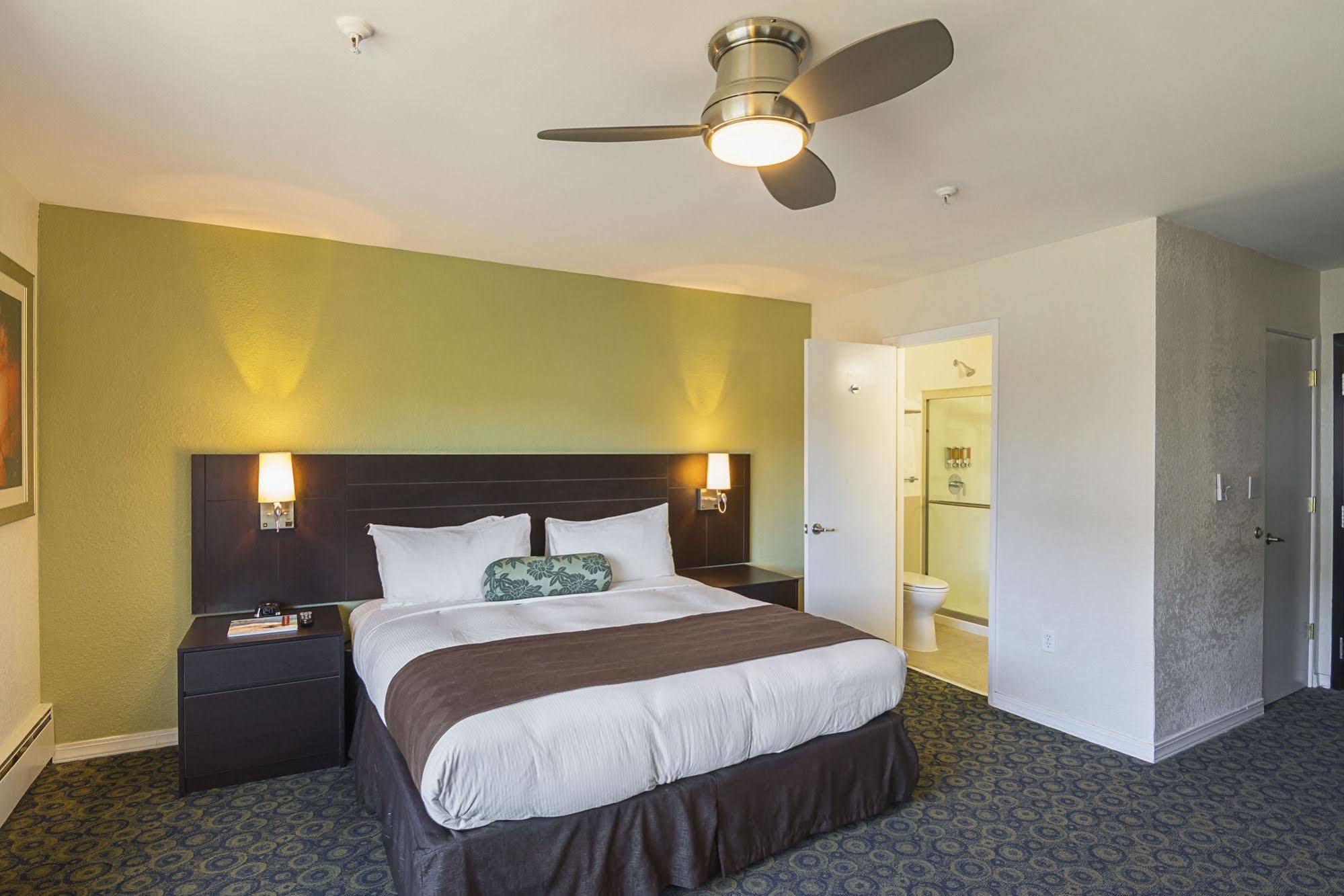Premium King Room