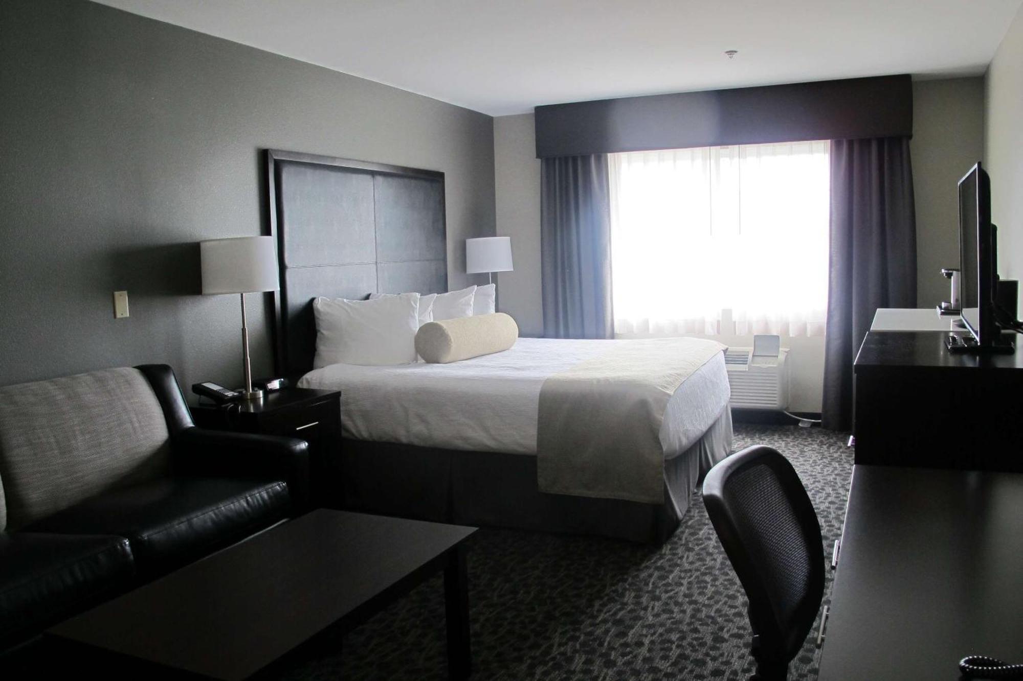 King Suite with Sofa Bed - Non Smoking