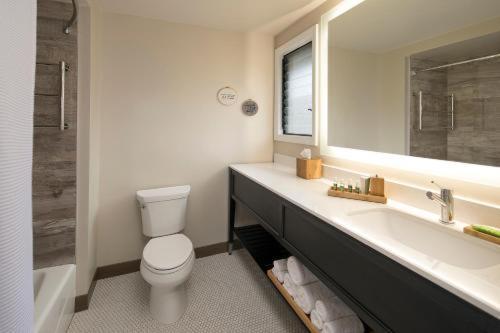 Habitación Estándar - Cama extragrande