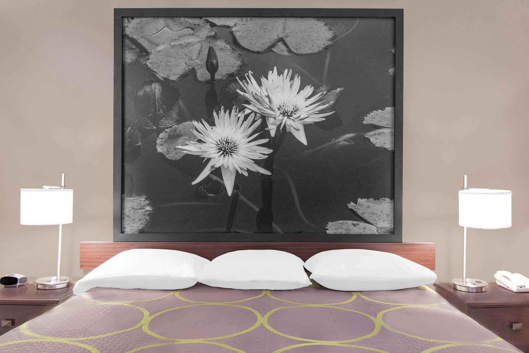 King Room - Smoking,712854916:JPEG