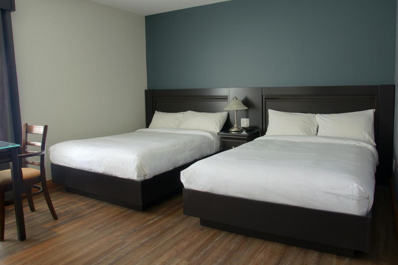 Chambre Double Confort avec 2 Lits Doubles