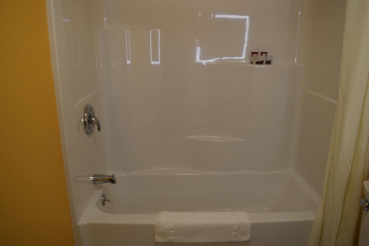 Kitchen Suite 2 King Beds Sofa Bed No Pets Allowed