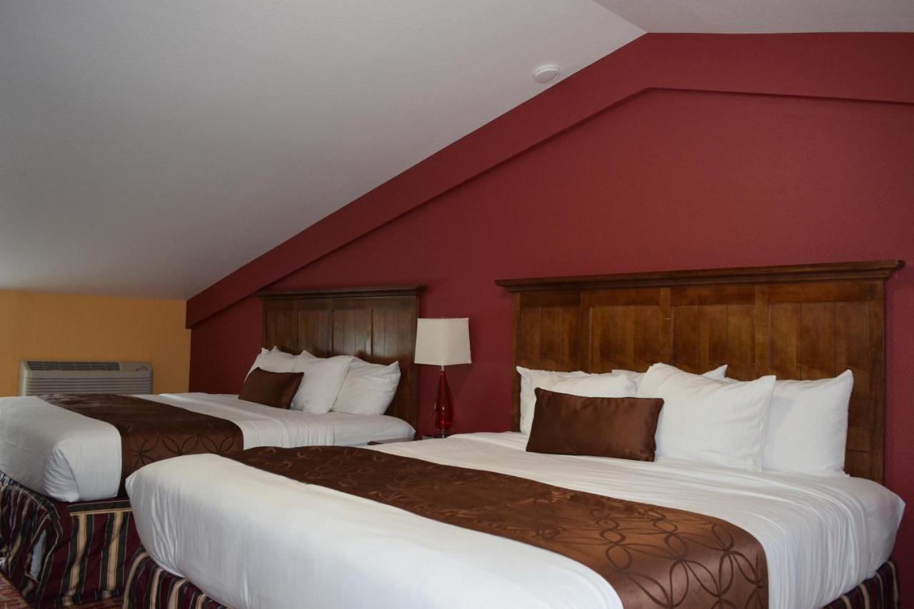 Kitchen Suite 2 King Beds Sofa Bed No Pets Allowed